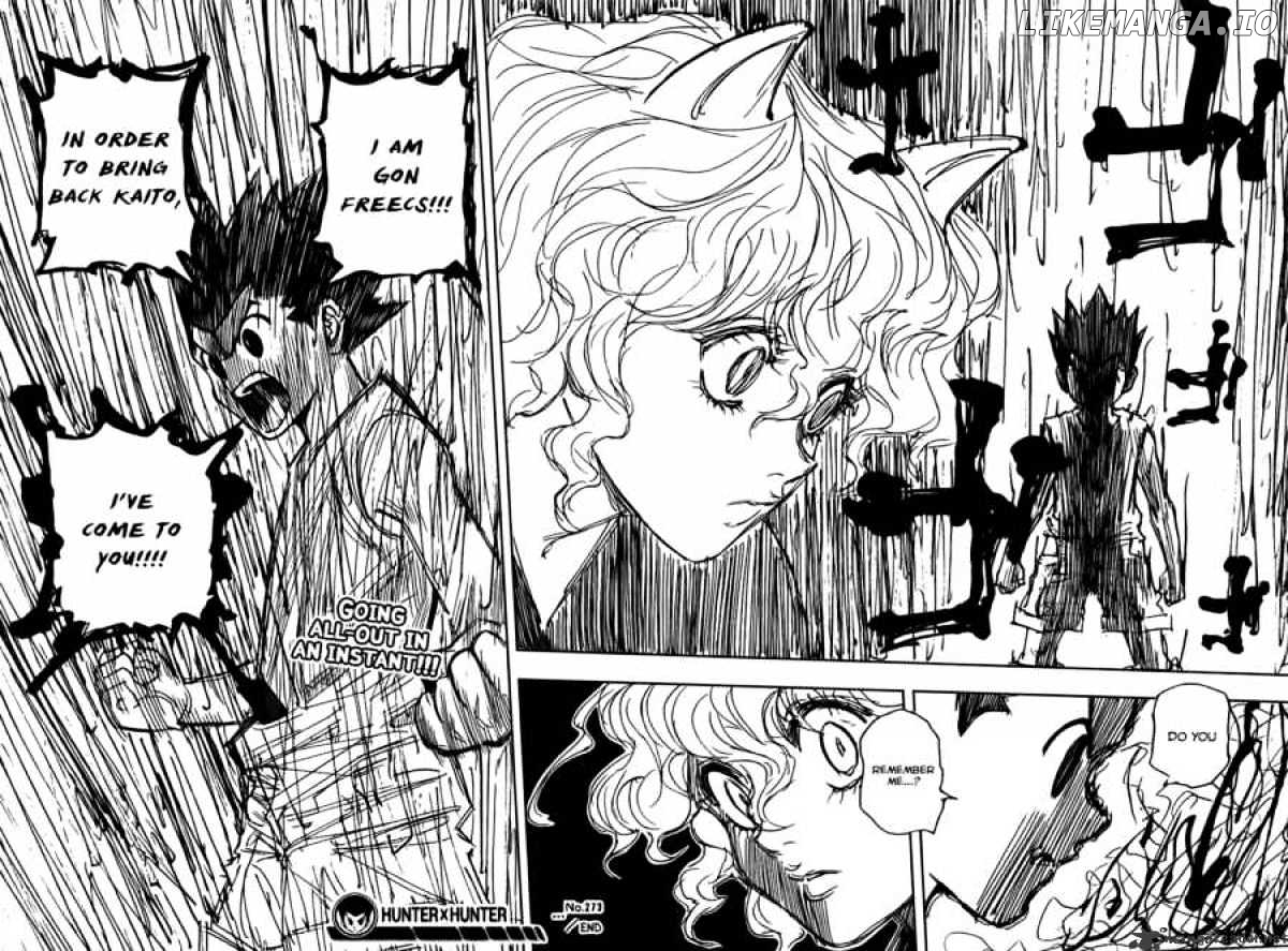 Hunter x Hunter, Chapter 273 image 18